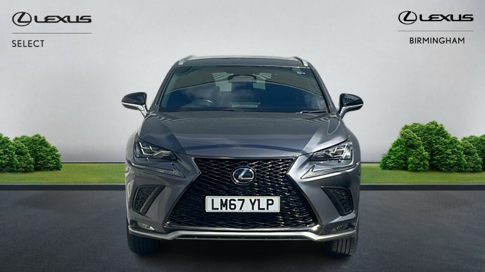 Lexus NX 2.5 300H F Sport E-cvt 4Wd Euro 6 Ss Grey #4