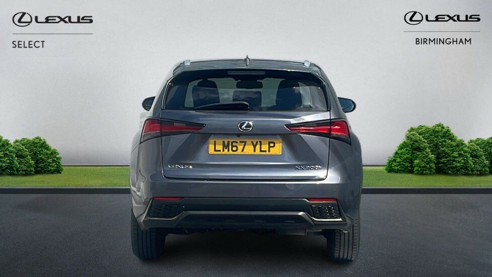 Lexus NX 2.5 300H F Sport E-cvt 4Wd Euro 6 Ss Grey #5
