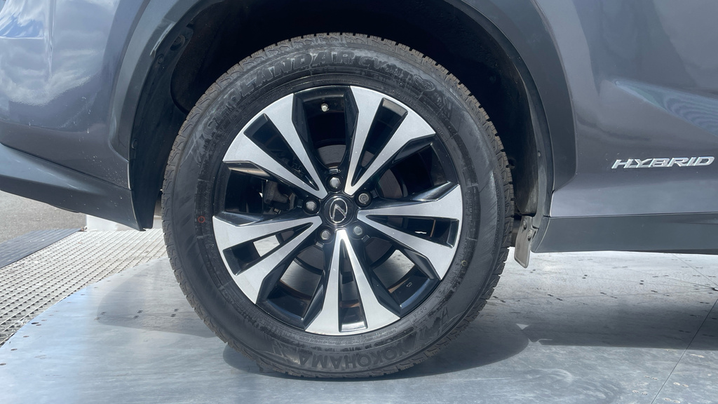 Lexus NX F Sport White #24