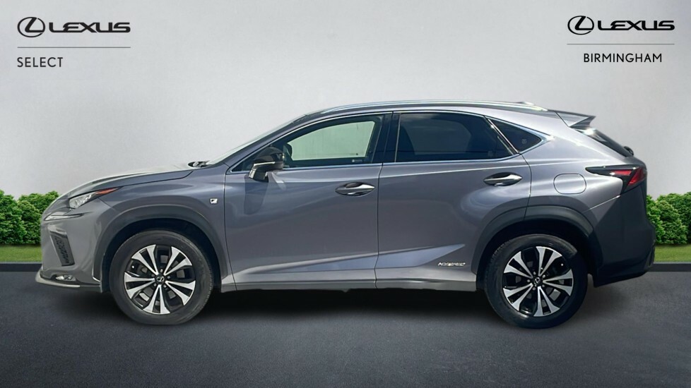 Lexus NX 2.5 300H F Sport E-cvt 4Wd Euro 6 Ss Grey #3
