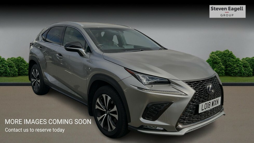 Lexus NX 2.5 300H F Sport E-cvt 4Wd Euro 6 Ss Silver