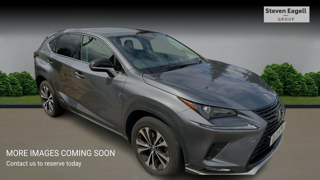 Lexus NX 2.5 300H Gpf E-cvt 4Wd Euro 6 Ss Grey #3