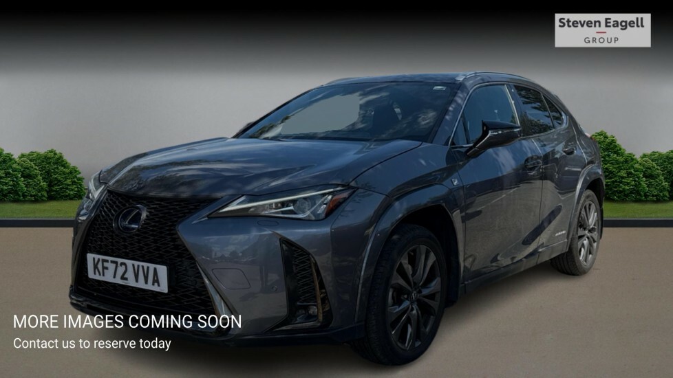 Lexus UX 2.0 250H F Sport E-cvt Euro 6 Ss Grey #3