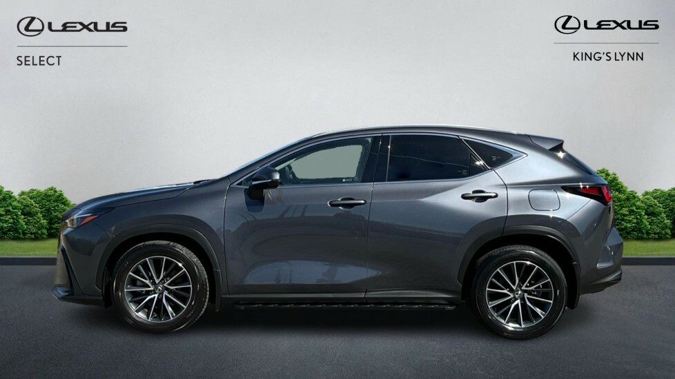 Lexus NX 2.5 350H E-cvt 4Wd Euro 6 Ss Grey #3