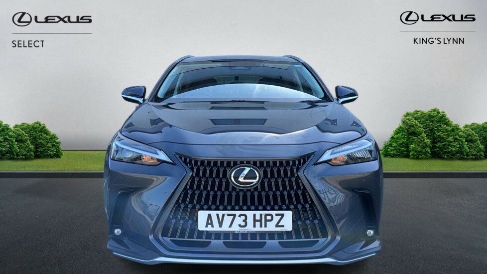 Lexus NX 2.5 350H E-cvt 4Wd Euro 6 Ss Grey #4
