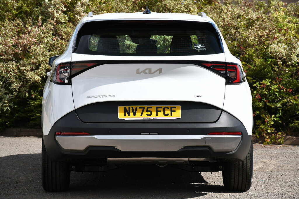 Kia Sportage 1.6 H T-gdi Pure Suv Hybrid Euro 6 White #6