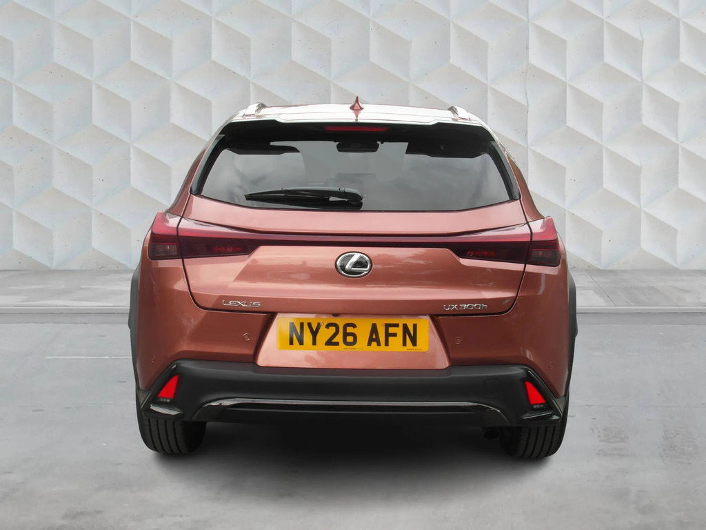 Lexus UX 2.0 300H F Sport Design E-cvt Euro 6 Ss  #6