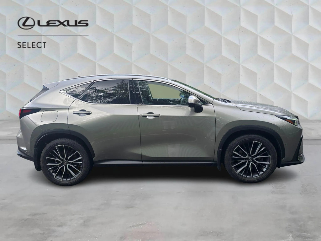 Lexus NX 2.5 450H 18.1Kwh Takumi E-cvt 4Wd Euro 6 Ss #2