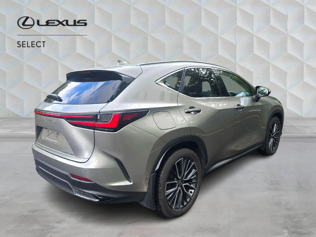Lexus NX 2.5 450H 18.1Kwh Takumi E-cvt 4Wd Euro 6 Ss #3