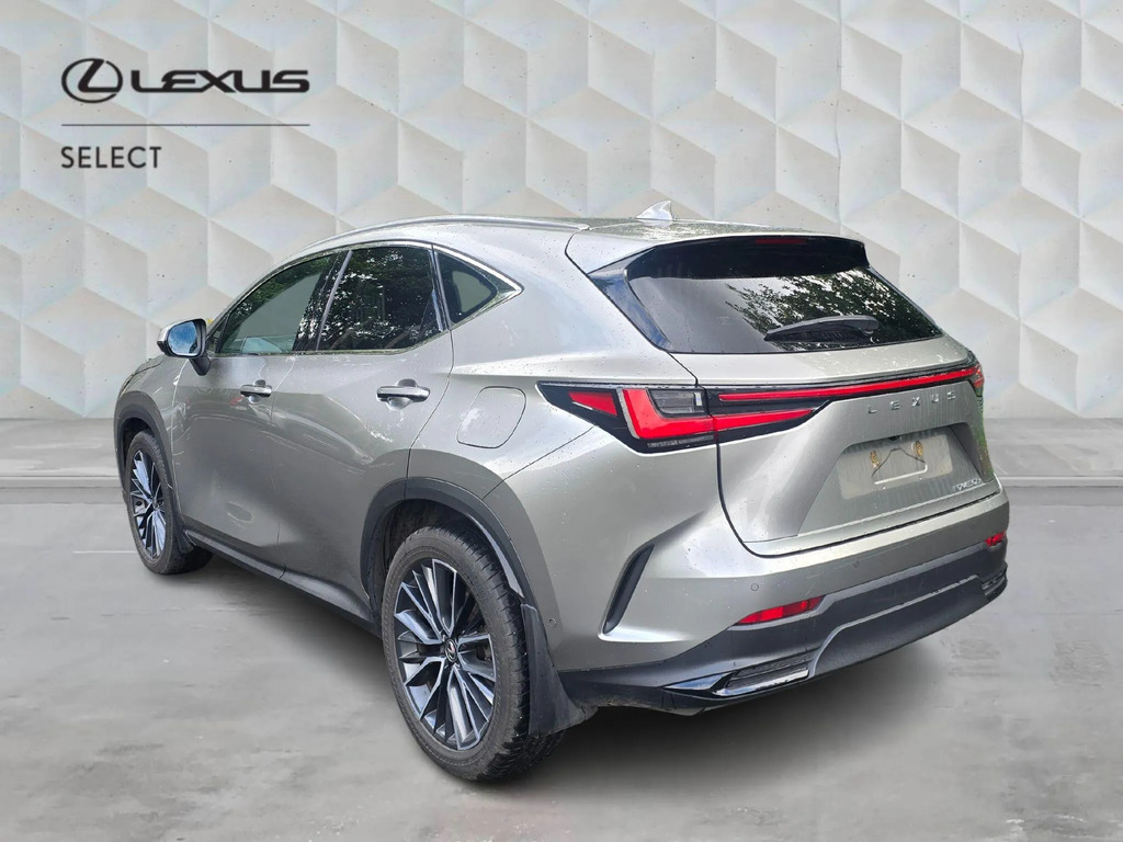 Lexus NX 2.5 450H 18.1Kwh Takumi E-cvt 4Wd Euro 6 Ss #5