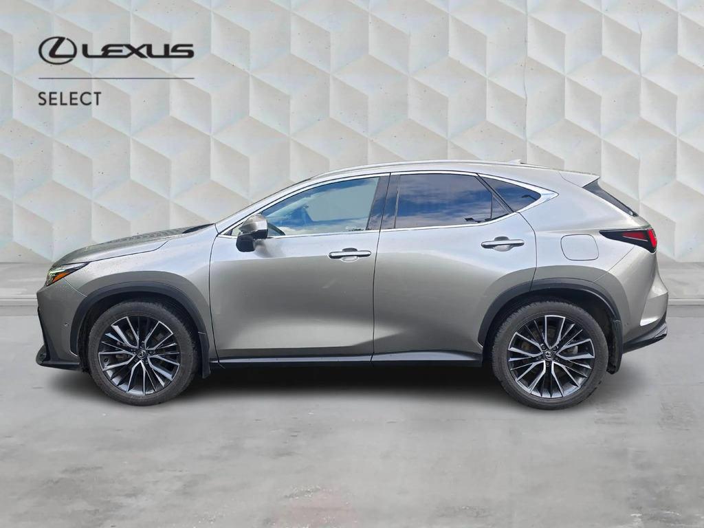 Lexus NX 2.5 450H 18.1Kwh Takumi E-cvt 4Wd Euro 6 Ss #6