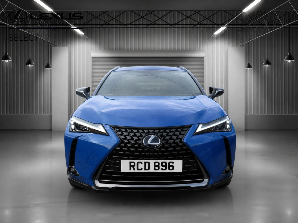 Lexus UX 300E 150Kw 54.3 Kwh E-cvt Takumi Pack Silver #8