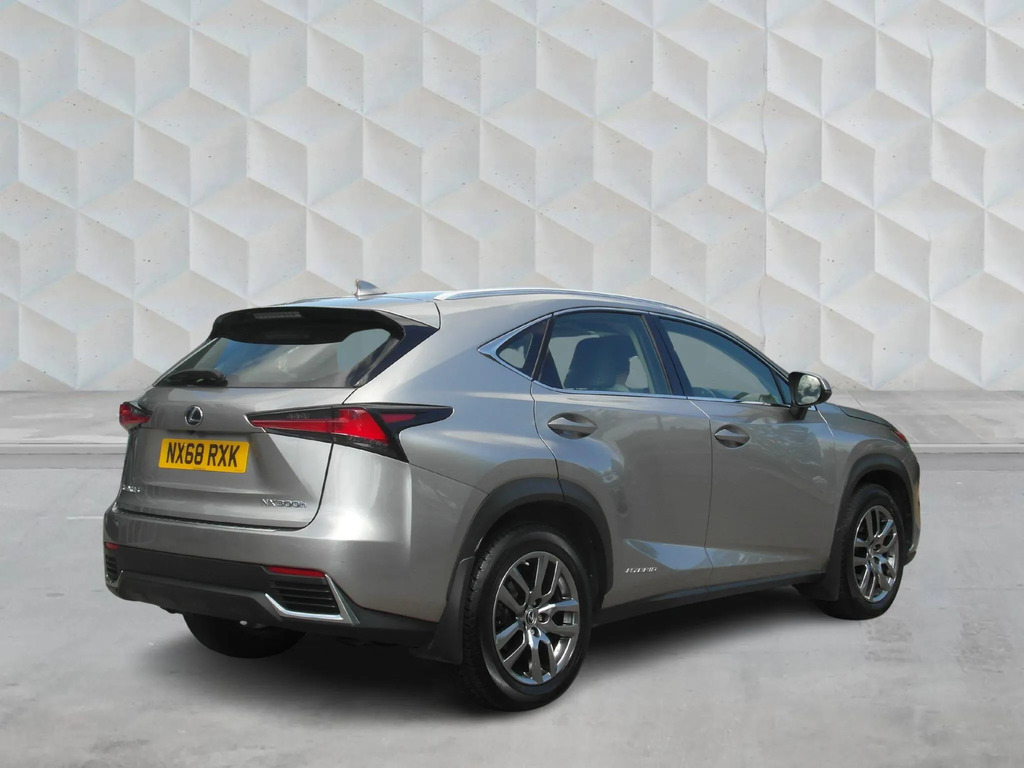 Lexus NX 300H 2.5 F-sport Cvt Premier Pack Silver #8