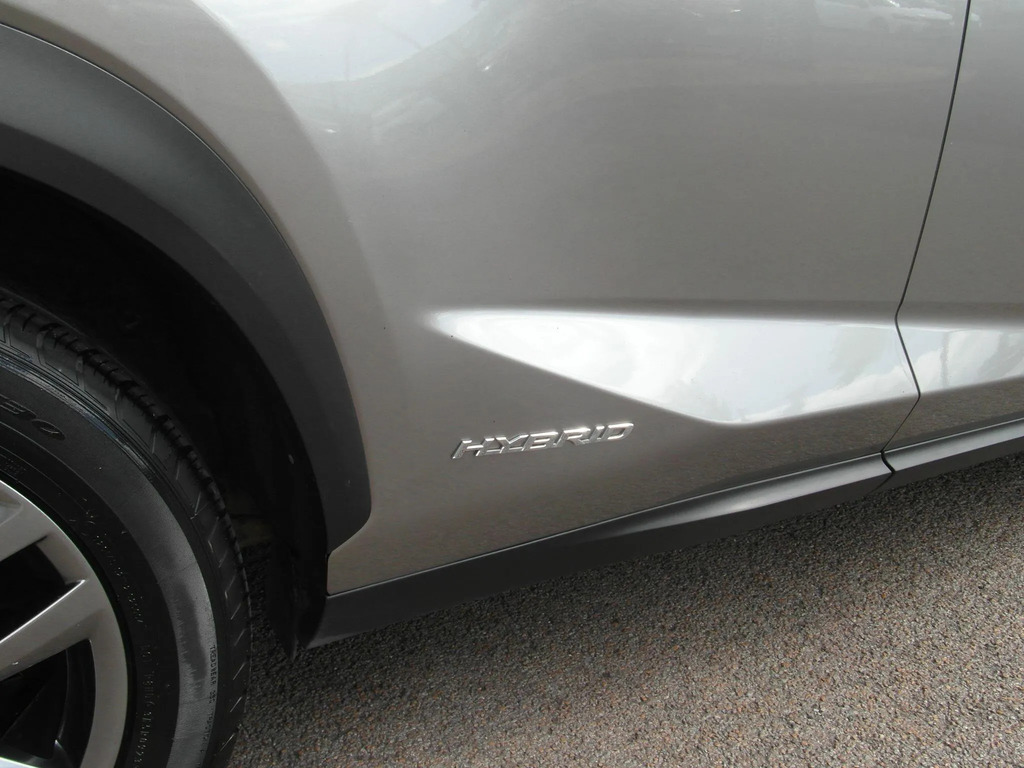Lexus NX 300H 2.5 F-sport Cvt Premier Pack Silver #38