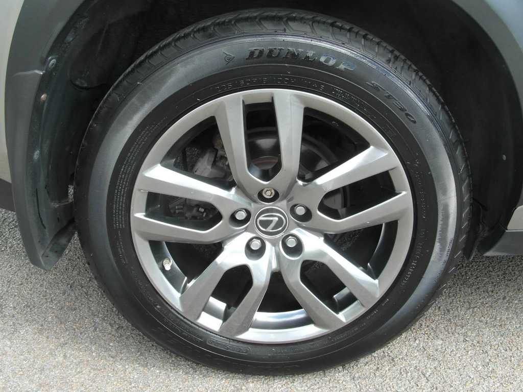 Lexus NX 300H 2.5 F-sport Cvt Premier Pack Silver #28