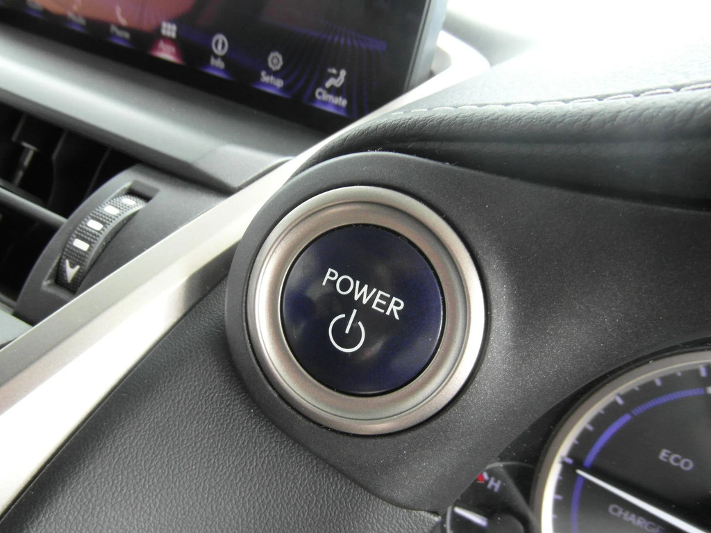 Lexus NX 300H 2.5 F-sport Cvt Premier Pack Silver #24