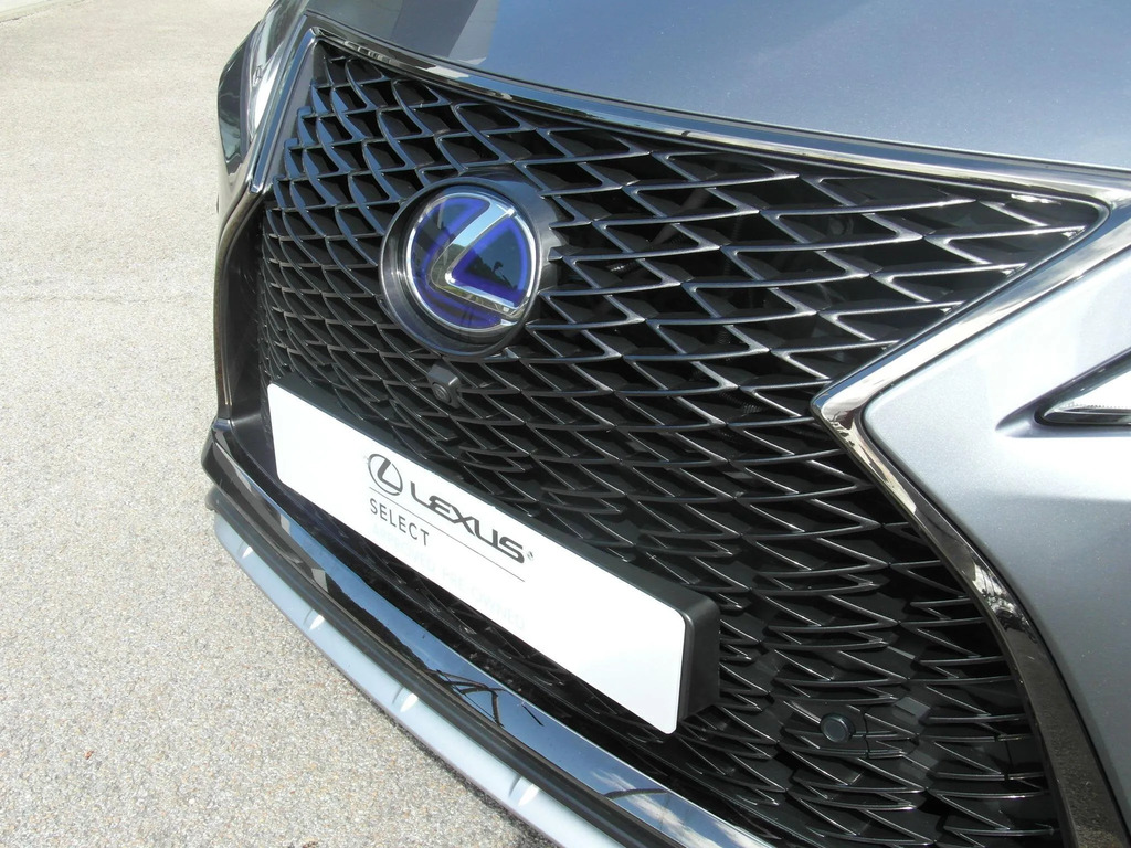 Lexus RX 3.5 450H V6 Premium Suv Hybrid E-cvt Black #17