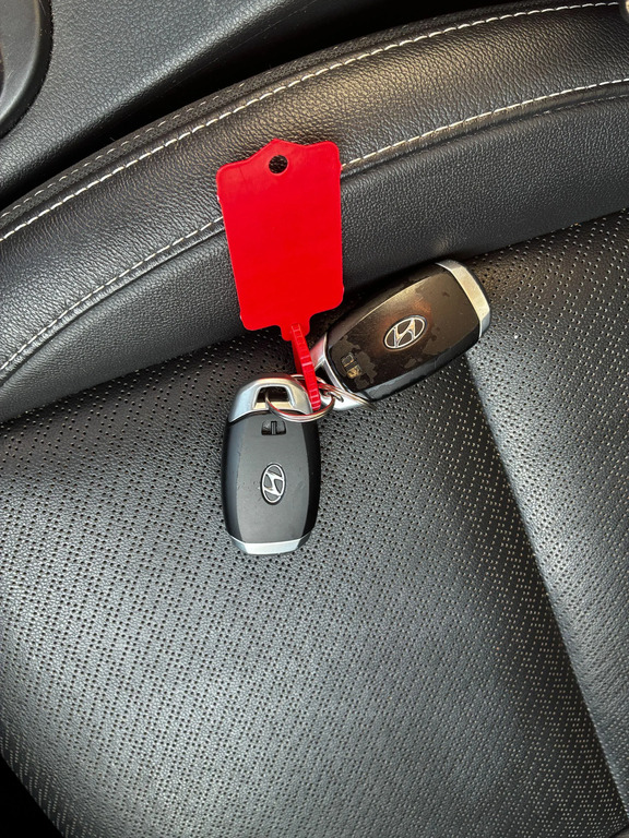 Hyundai Kona Kona Premium Se Ev Red #27