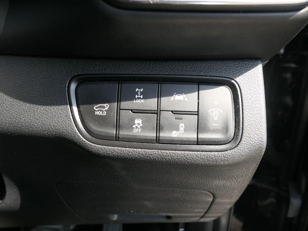 Hyundai Santa Fe 2.2 Crdi Premium 4Wd Euro 6 Ss 7 Seat Black #21