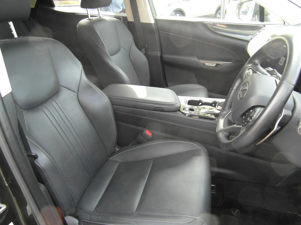 Lexus NX 2.5 450H 18.1Kwh F Sport E-cvt 4Wd Euro 6 Ss 5 Black #12