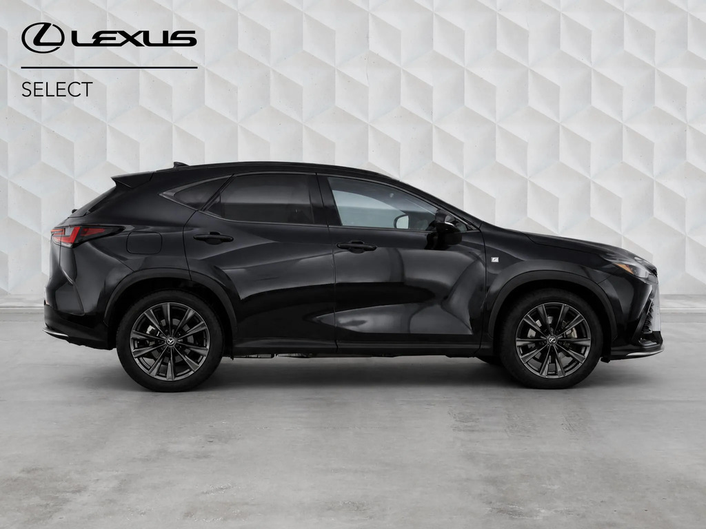 Lexus NX 2.5 450H 18.1Kwh F Sport Takumi E-cvt 4Wd Euro 6  #2