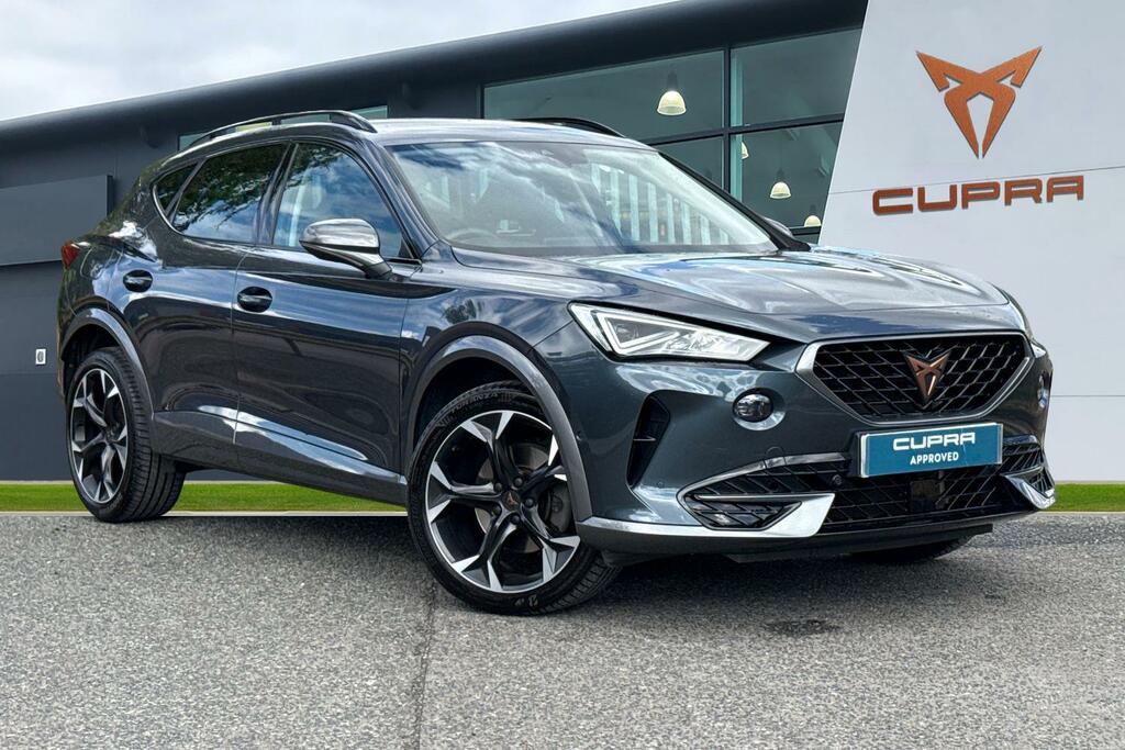 Cupra Formentor 1.5 Tsi V2 Euro 6 Ss Grey