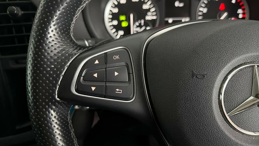 Mercedes-Benz Vito 110Cdi Progressive Van Silver #17