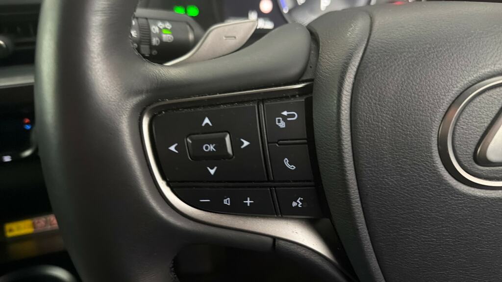 Lexus UX 250H 2.0 F-sport Design Cvt White #17