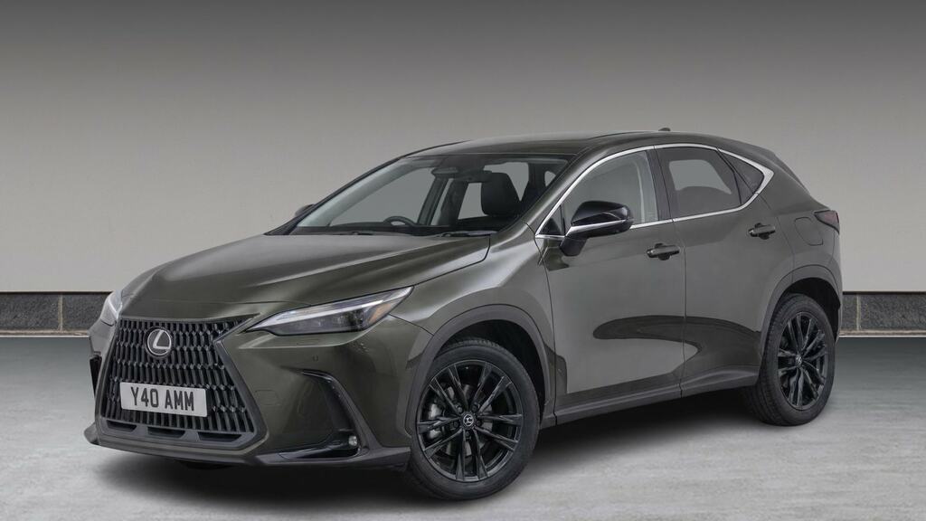Lexus NX 450H 2.5 Premium Plus E-cvt Green #2