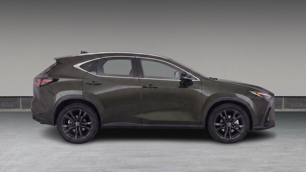 Lexus NX 450H 2.5 Premium Plus E-cvt Green #6