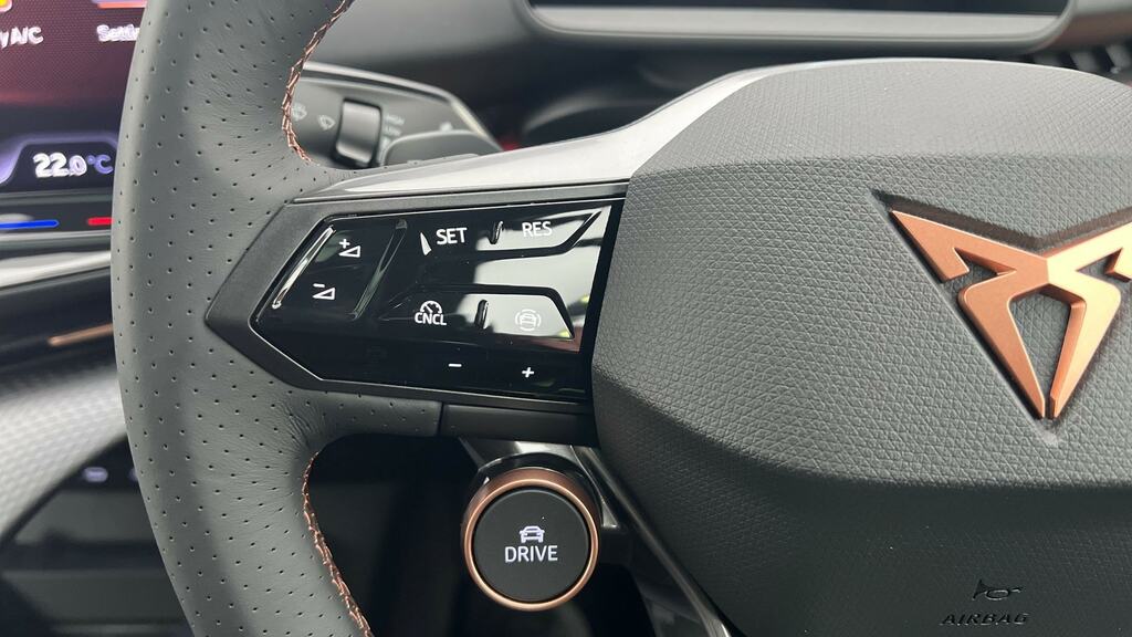 Cupra Tavascan Cupra Tavascan 250Kw Vz1 77Kwh Awd Estate Blue #19