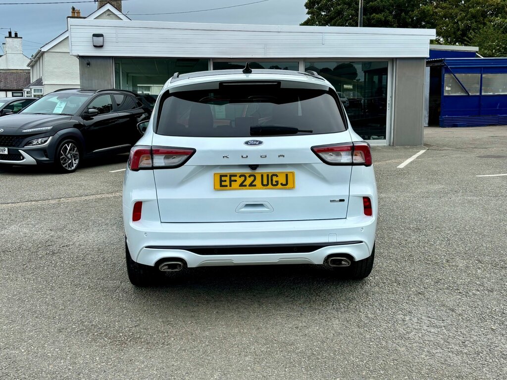 Ford Kuga 2.0 Ecoblue Mhev St-line X Edition Suv White #6