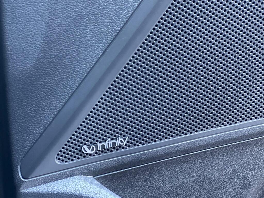 Hyundai Ioniq Grey #63