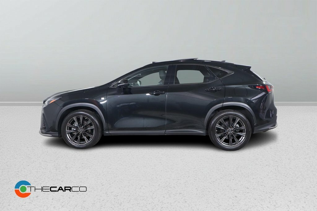 Lexus NX 2.5L F Sport Black #6