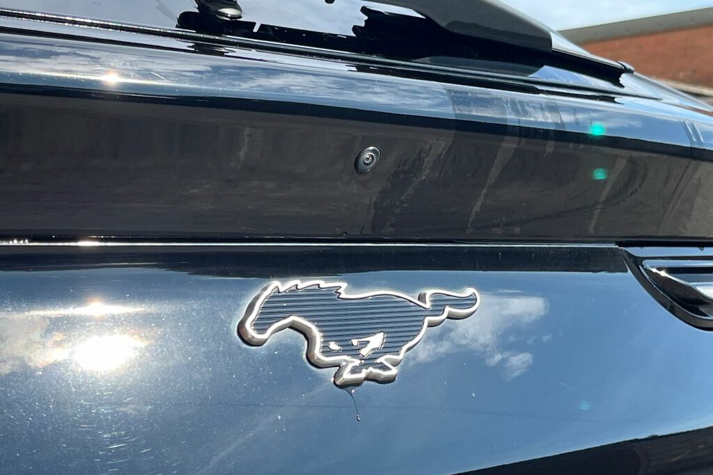 Ford Mustang Mach-E 258Kw Premium 91Kwh Awd Estate Grey #25