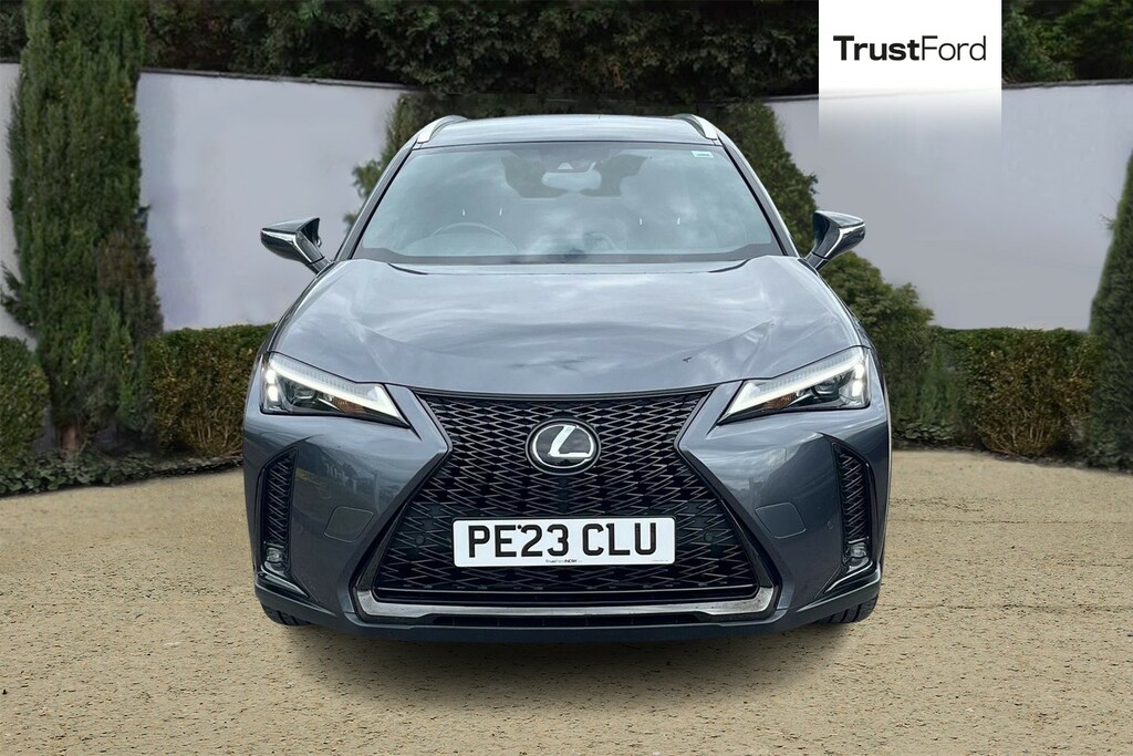 Lexus UX F-sport Design Grey #6