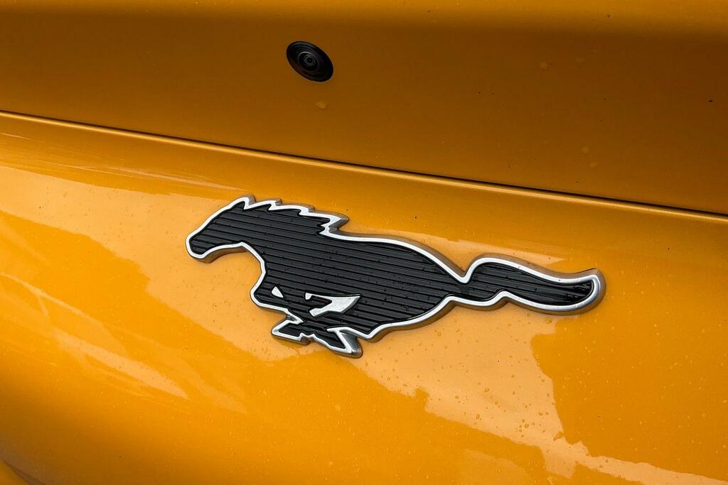 Ford Mustang Mach-E 358Kw Gt 91Kwh Awd Pan Roof Black #39