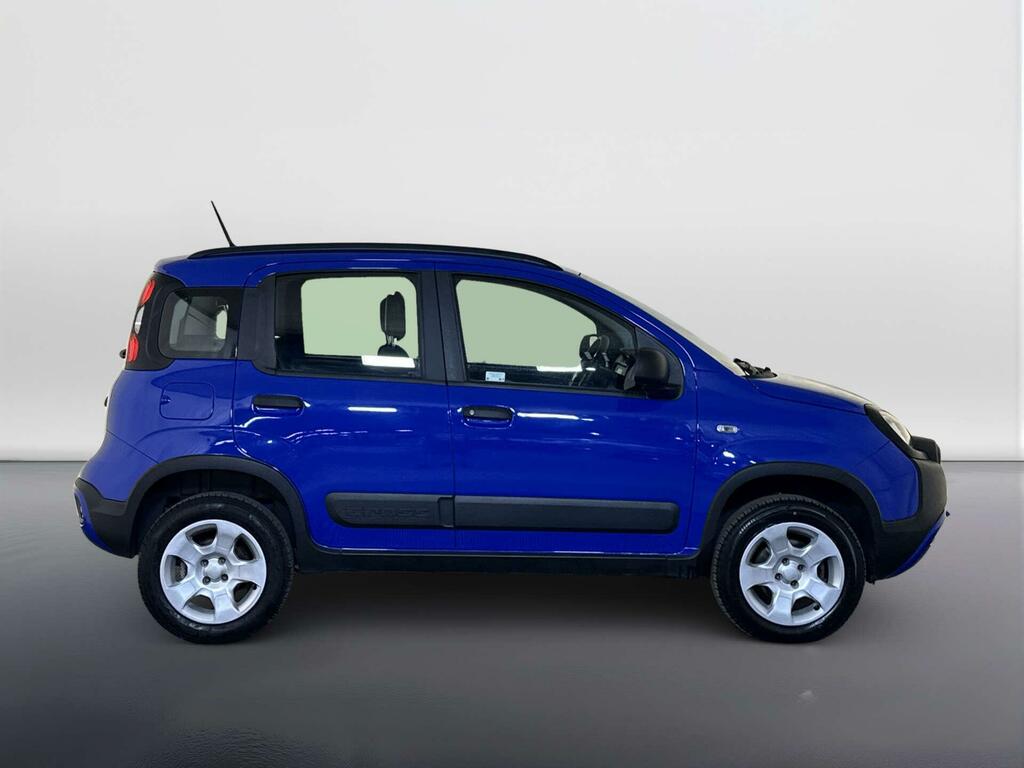 Fiat Panda 0.9 Twinair Cross Euro 6 Ss Green #9