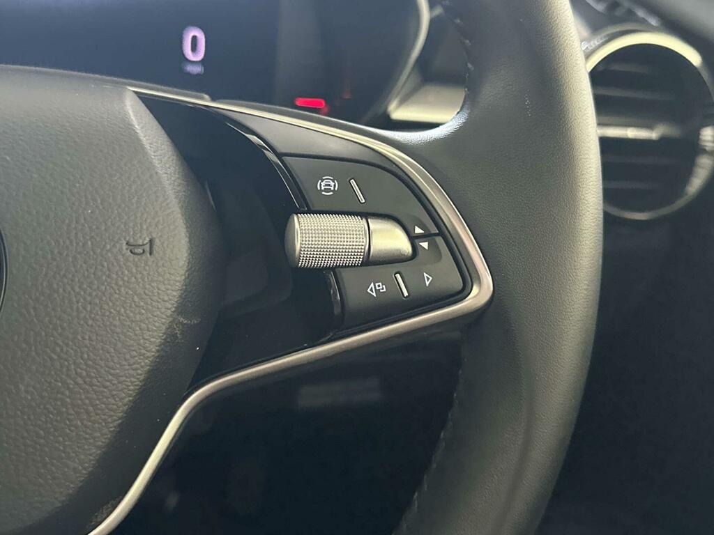 Skoda Fabia Skoda Fabia Monte Carlo 1.5 Tsi 150 Ps Dsg Grey #18