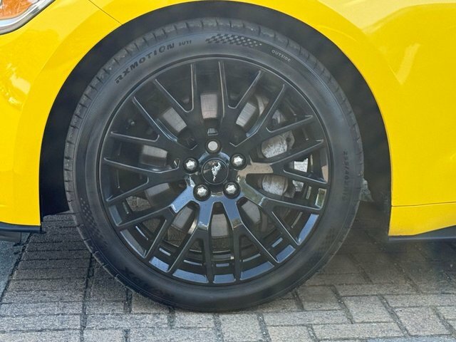 Ford Mustang Coupe 2.3T Ecoboost Fastback Euro 6 201717 Black #11
