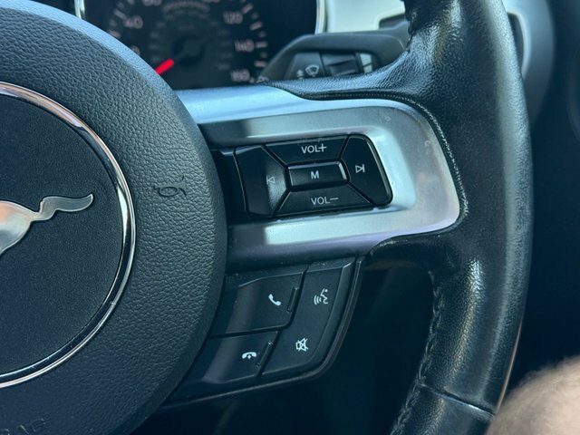Ford Mustang Coupe 2.3T Ecoboost Fastback Euro 6 201717 Black #22