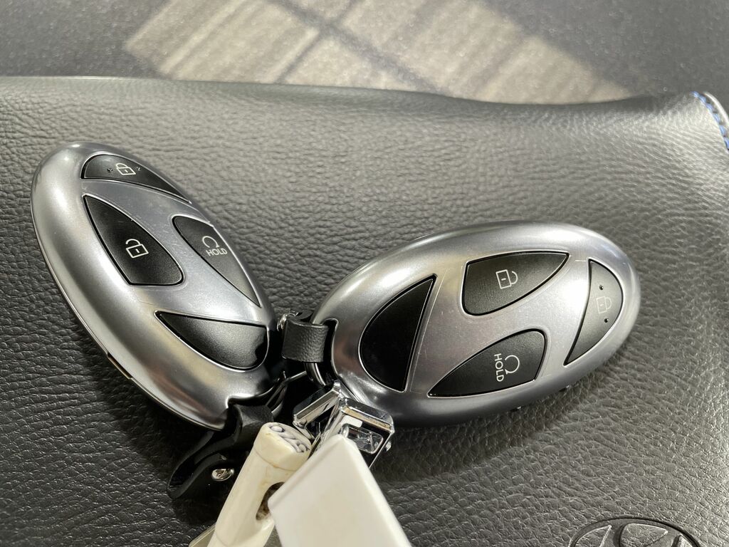 Hyundai Santa Fe Santa Fe 7St 1.6Tgdi Phev Cligpy Au 4Wd Green #46