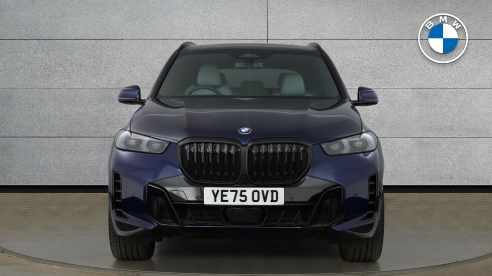 BMW X5 X5 Xdrive40d M Sport Grey #16