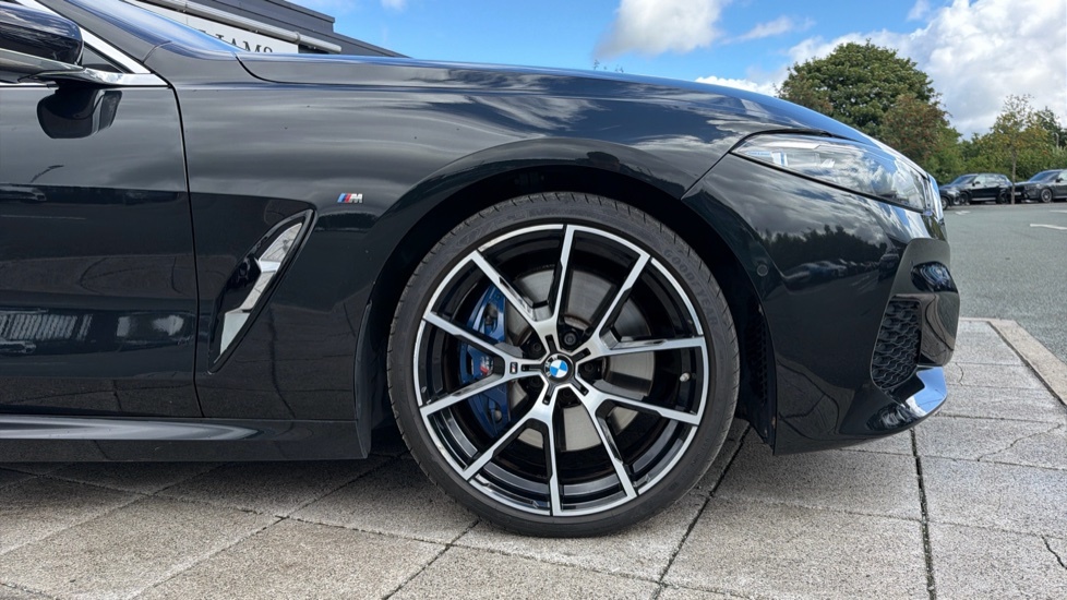 BMW 8 Series 3.0 Steptronic Xdrive Euro 6 Ss #14
