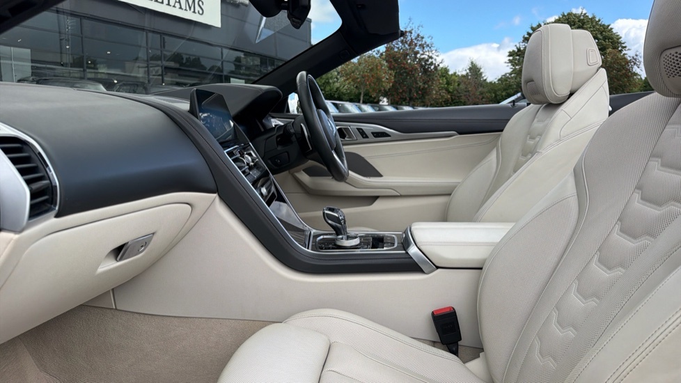 BMW 8 Series 3.0 Steptronic Xdrive Euro 6 Ss #45