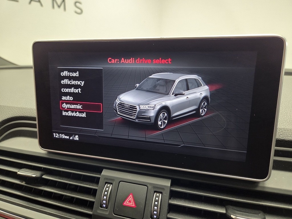 Audi SQ5 3.0 Tfsi V6 Tiptronic Quattro Euro 6 Ss Blue #44