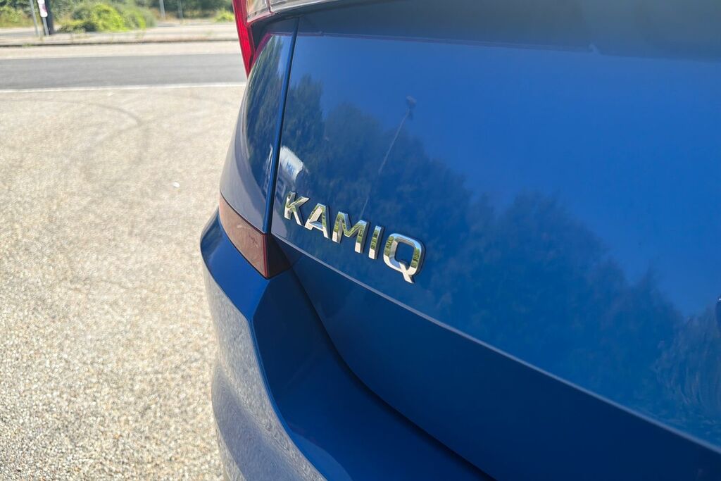 Skoda Kamiq 1.0 Tsi 110 Se L Executive Grey #22