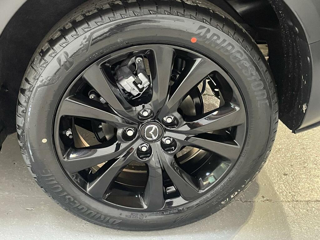 Mazda CX-30 2.5 E-skyactiv G Mhev Takumi Suv Blue #11