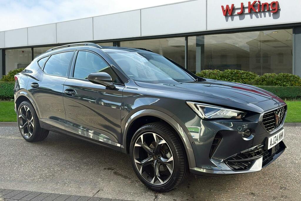 Cupra Formentor 1.5 Tsi V2 Suv Dsg Grey