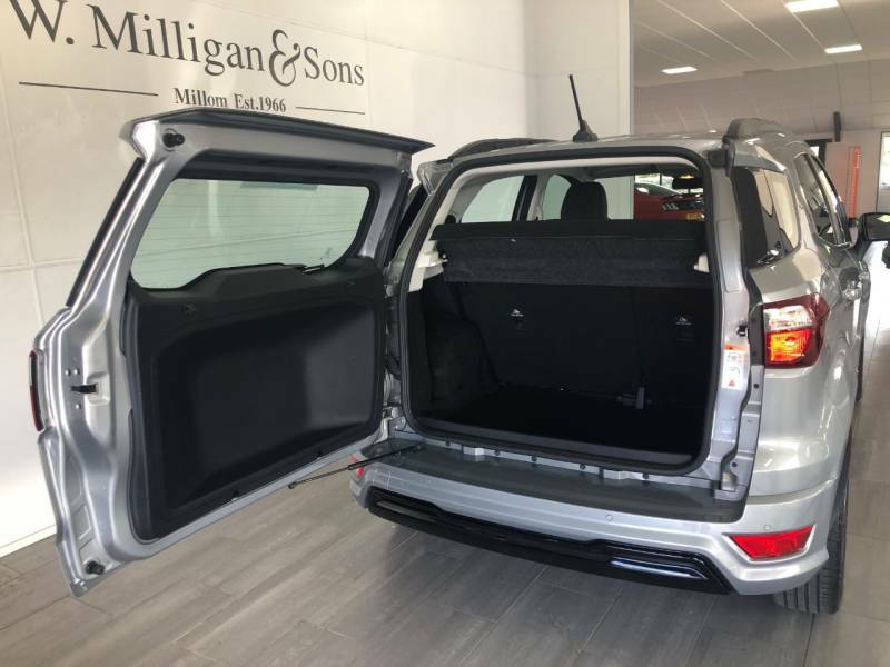 Ford Ecosport 1.0 Ecoboost 140 St-line Silver #5